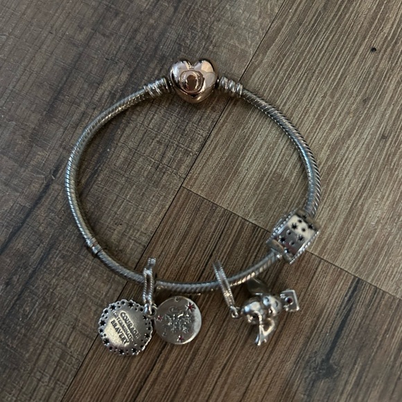 Pandora Jewelry - Pandora RARE Harry Potter Charms on Silver & Rosegold Bracelet